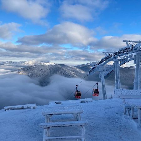 Ski View Studio - Near The Ski Slopes Azuga Exteriér fotografie