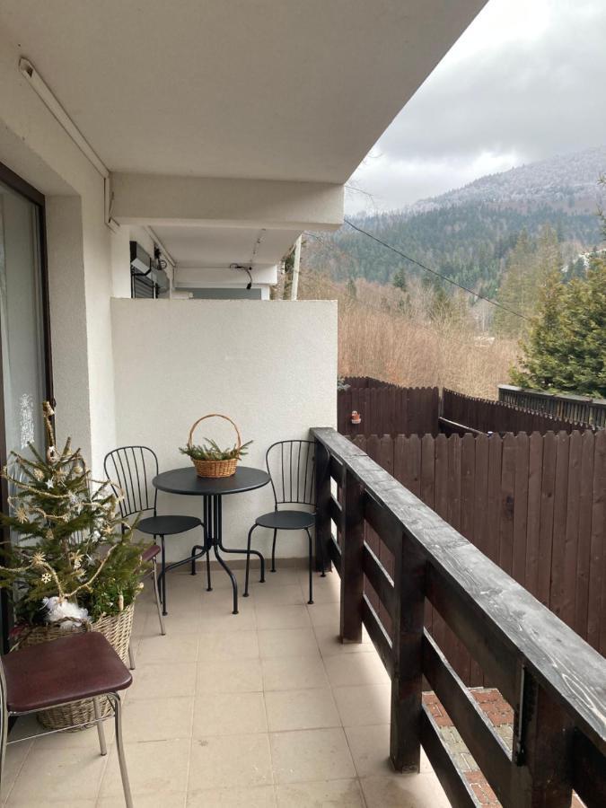 Ski View Studio - Near The Ski Slopes Azuga Exteriér fotografie